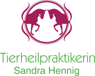 Pferdepysiotherapeutin